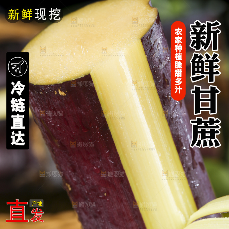 手里拿着广西黑皮甘蔗