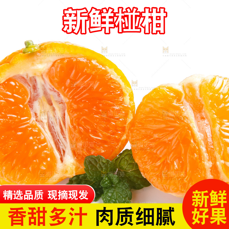 白底上的永春芦柑