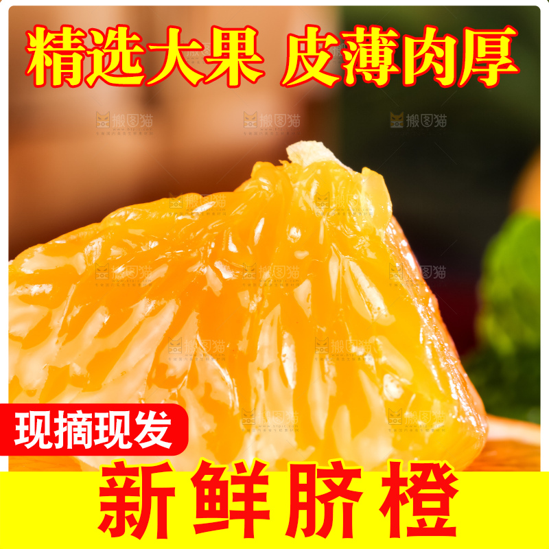 黄板子上的脐橙