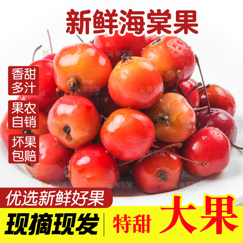 白底上放着东北海棠果