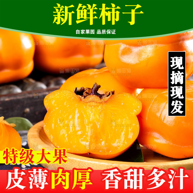 盘子里装着易县磨盘柿