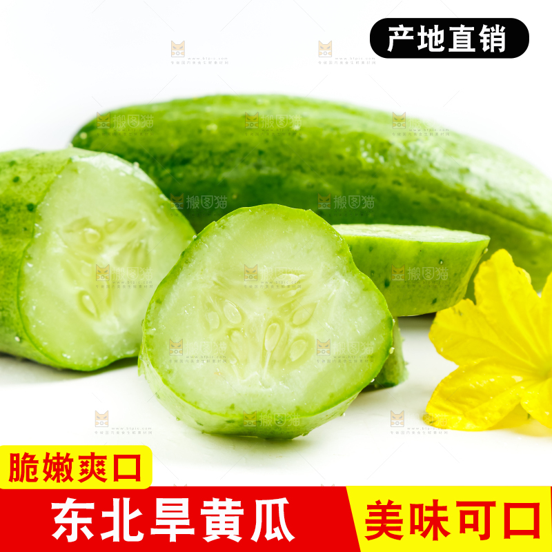 白底上放着新鲜旱黄瓜