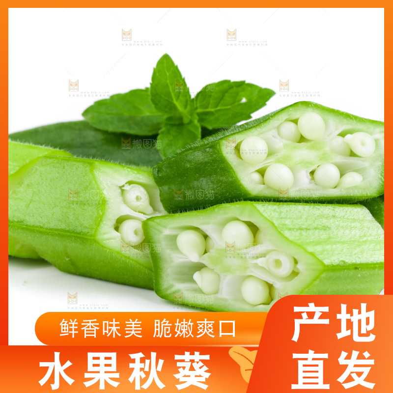 白底上的新鲜秋葵