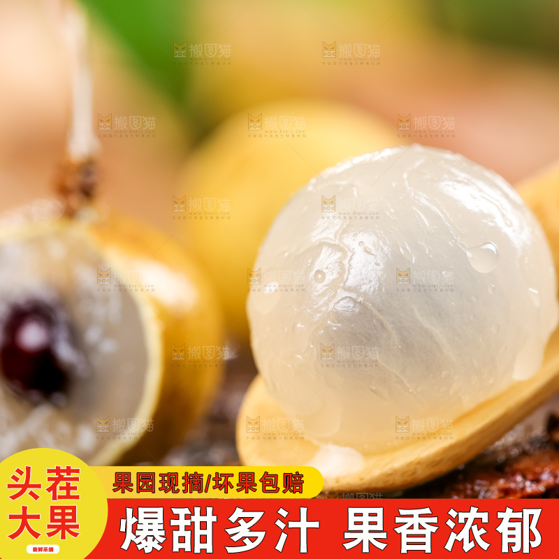 木底上的广东龙眼