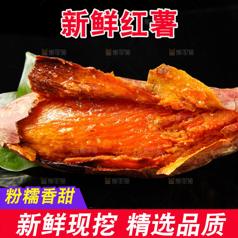 黑底上的烟薯25号
