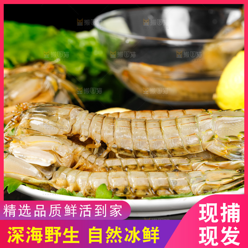 盘子里装着舟山皮皮虾