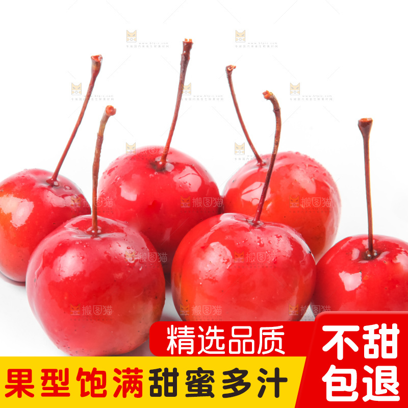 白底上的东北海棠果