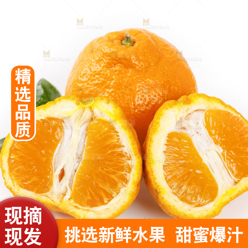 白底上摆放着耙耙柑