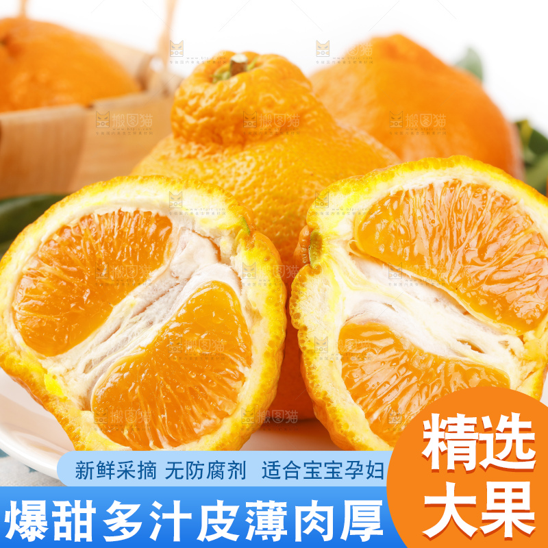 浅底上的春见耙耙柑
