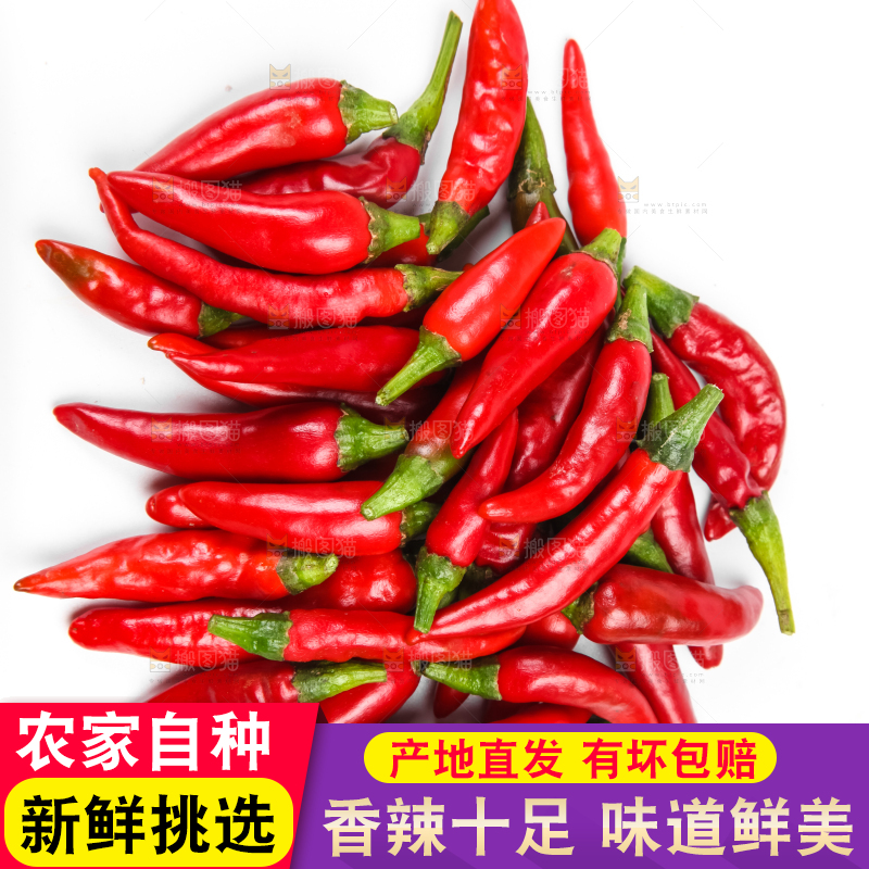 白底上摆放着广西小米椒
