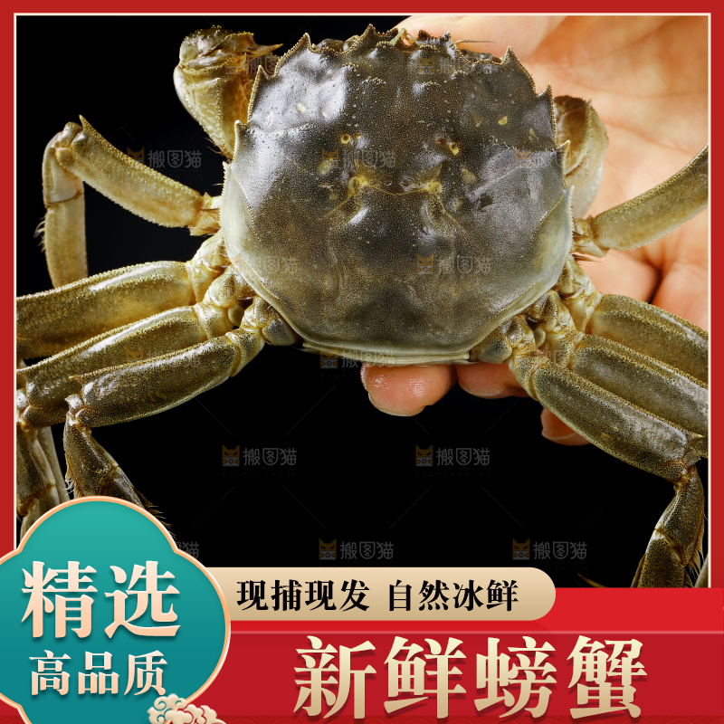 手里拿着鲜活螃蟹