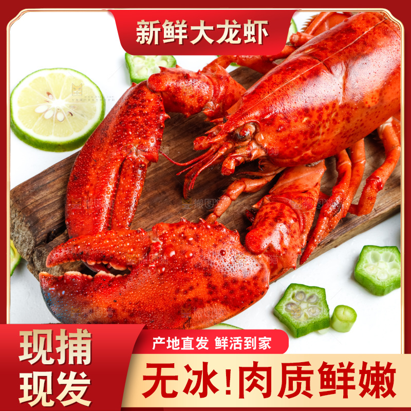 浅底上放着大龙虾