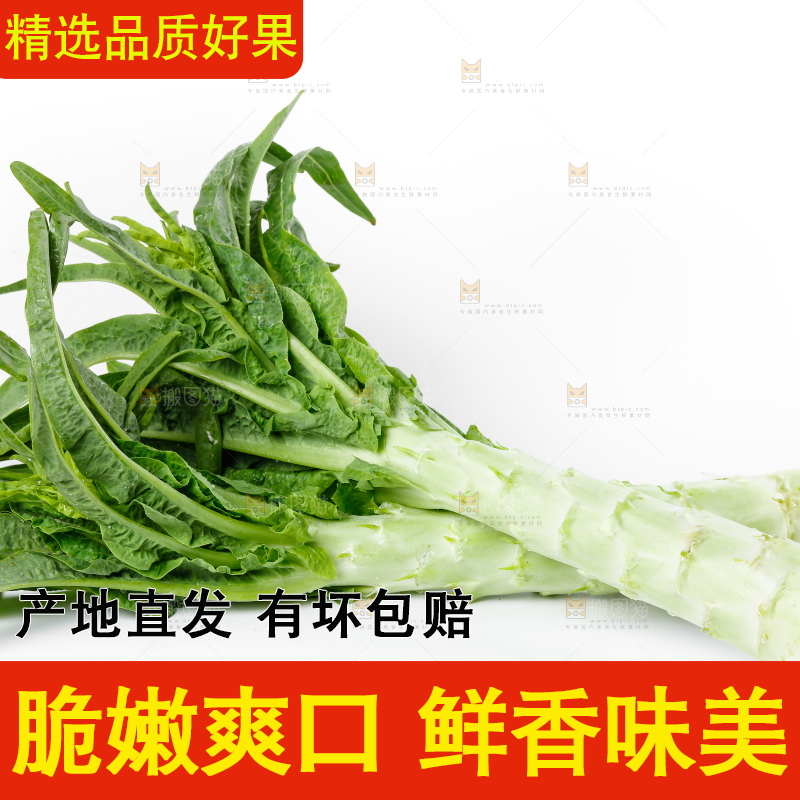 白底上放着莴笋