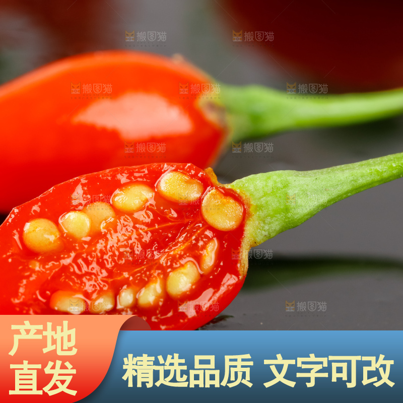 深底上放着枸杞鲜果