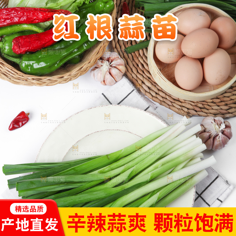 盘子里装着红根蒜苗