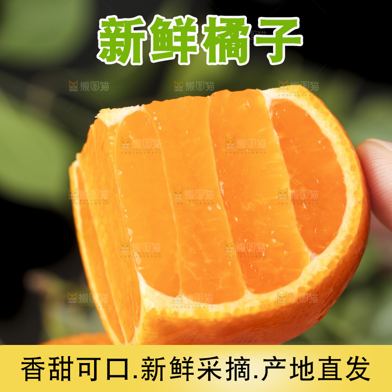 手里拿着新鲜椪柑