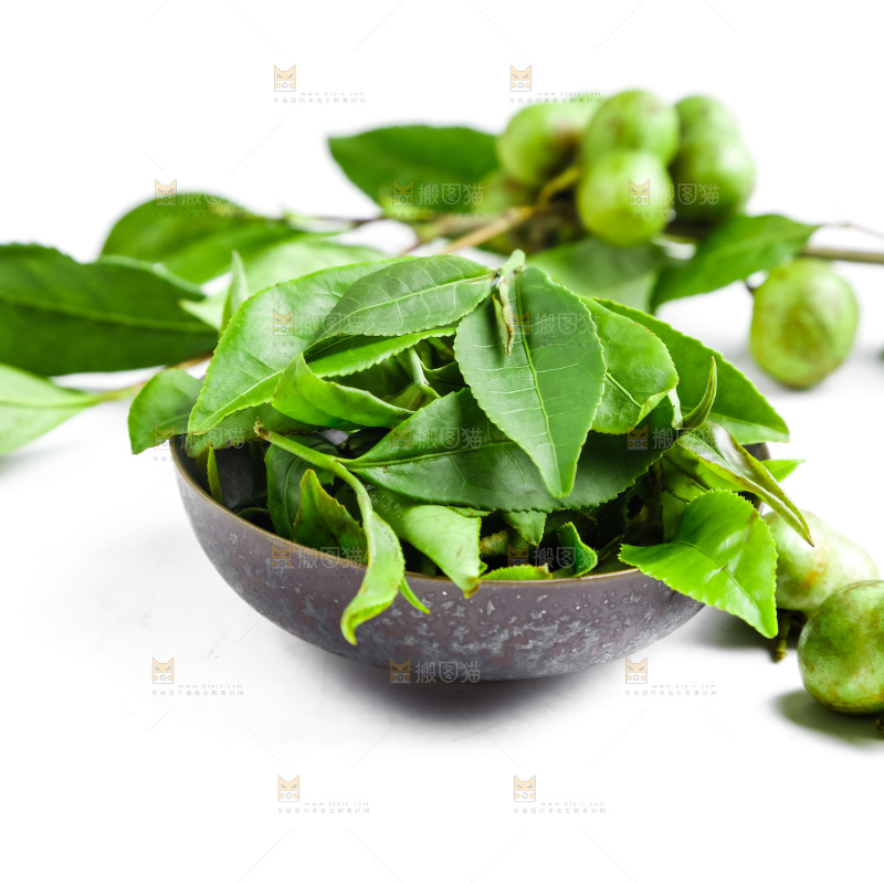 白底上放着绿茶叶