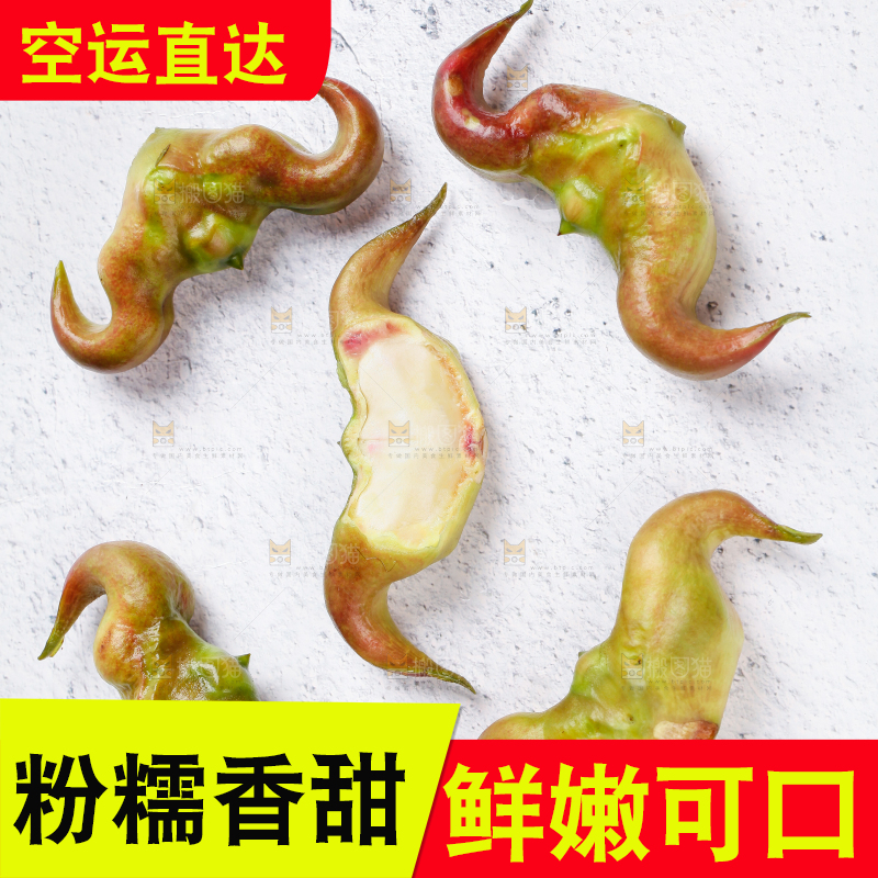 白底上摆放着新鲜菱角