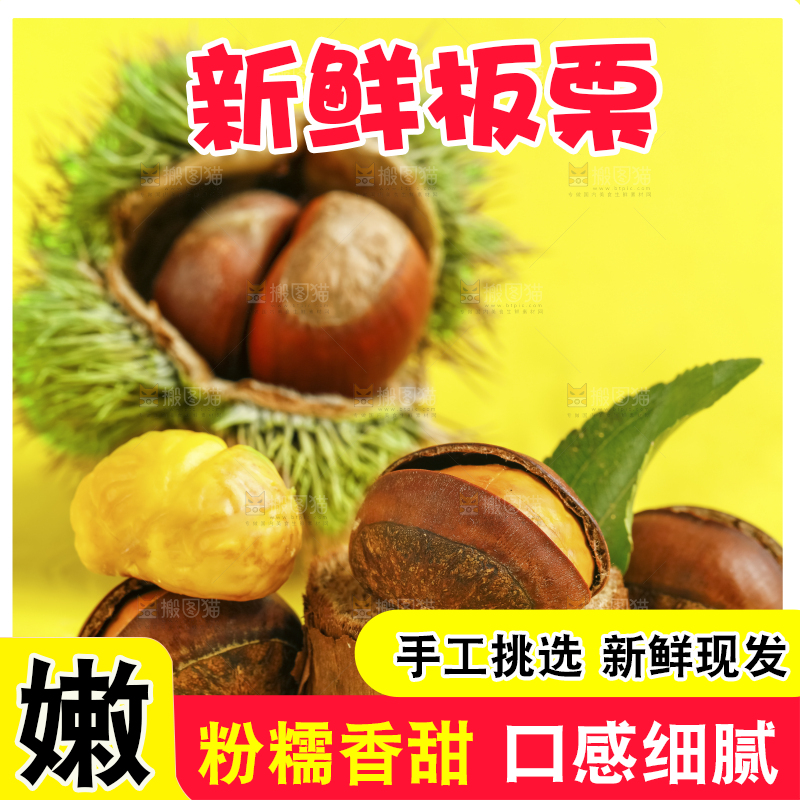黄底上放着迁西板栗
