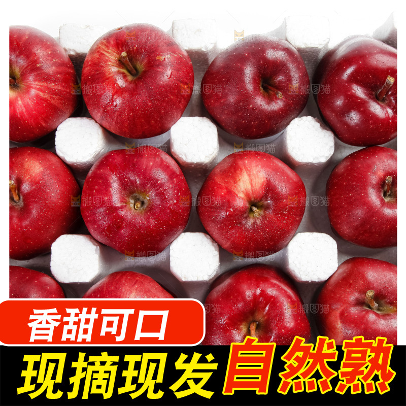 箱子里装着甘肃花牛苹果