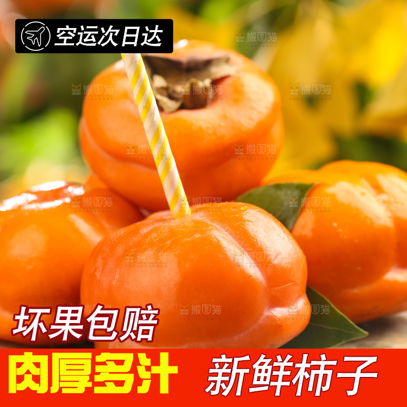 木板上放着易县磨盘柿