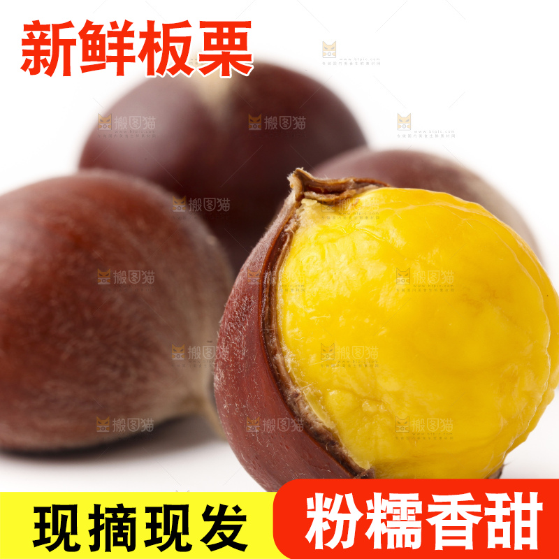 浅底上的迁西板栗