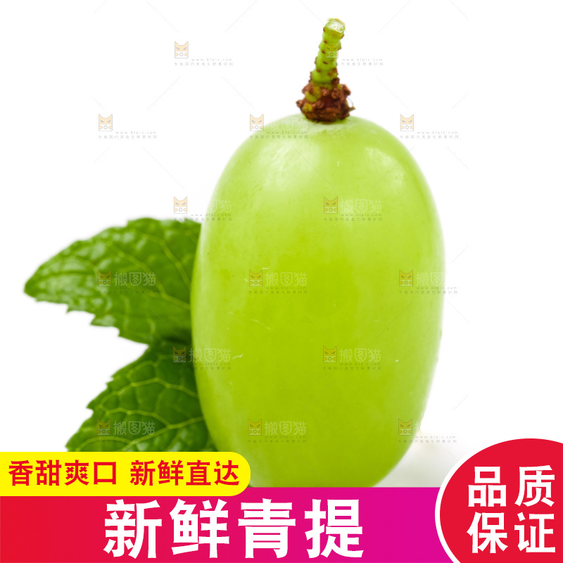 白底上放着新鲜青提