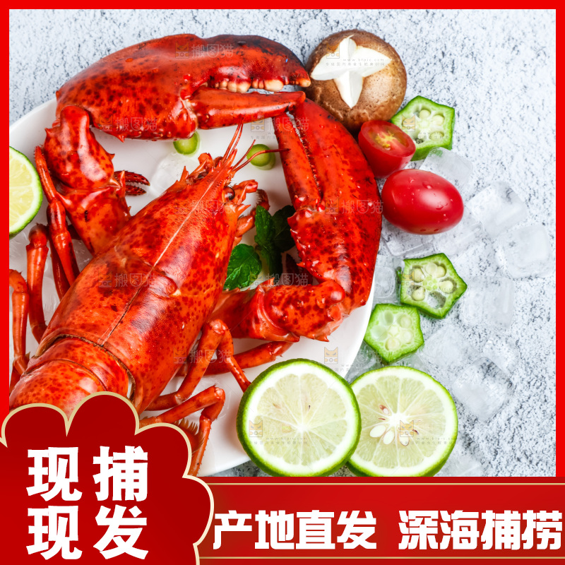 石板上的波士顿大龙虾