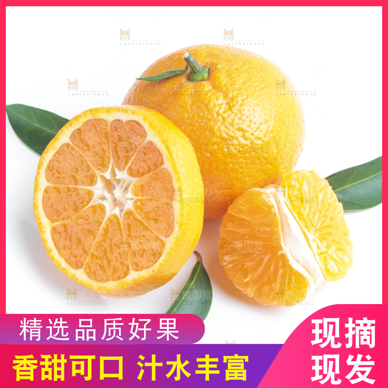 白底上的椪柑