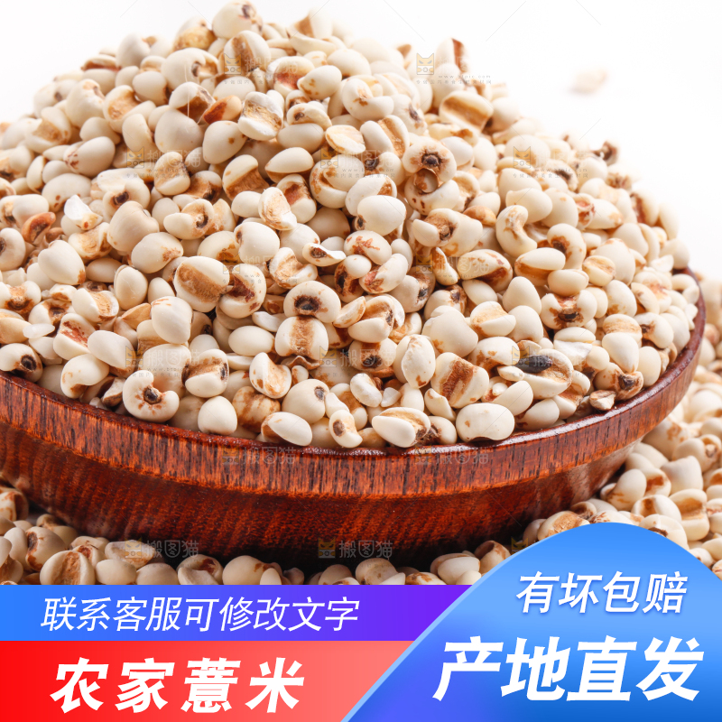 浅底上放着贵州薏米