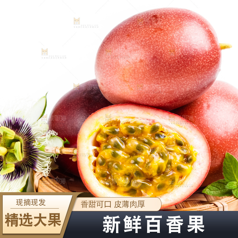 紫皮百香果放在白底上