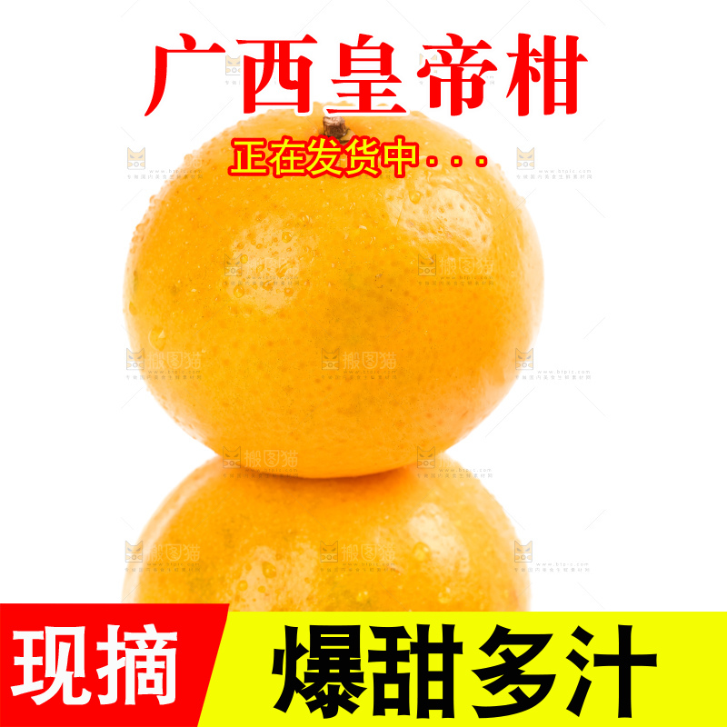 白底上的皇帝柑