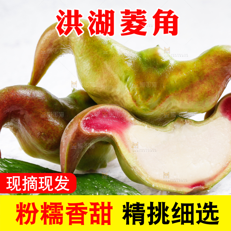 白底上的菱角