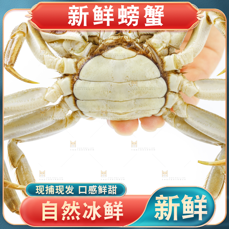手里拿着鲜活螃蟹