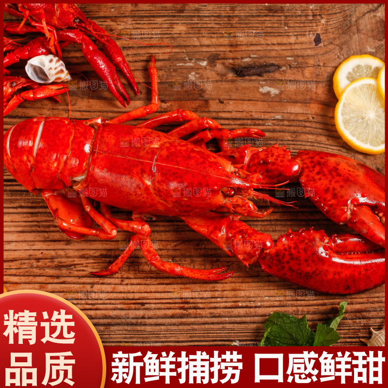 木底上放着大龙虾