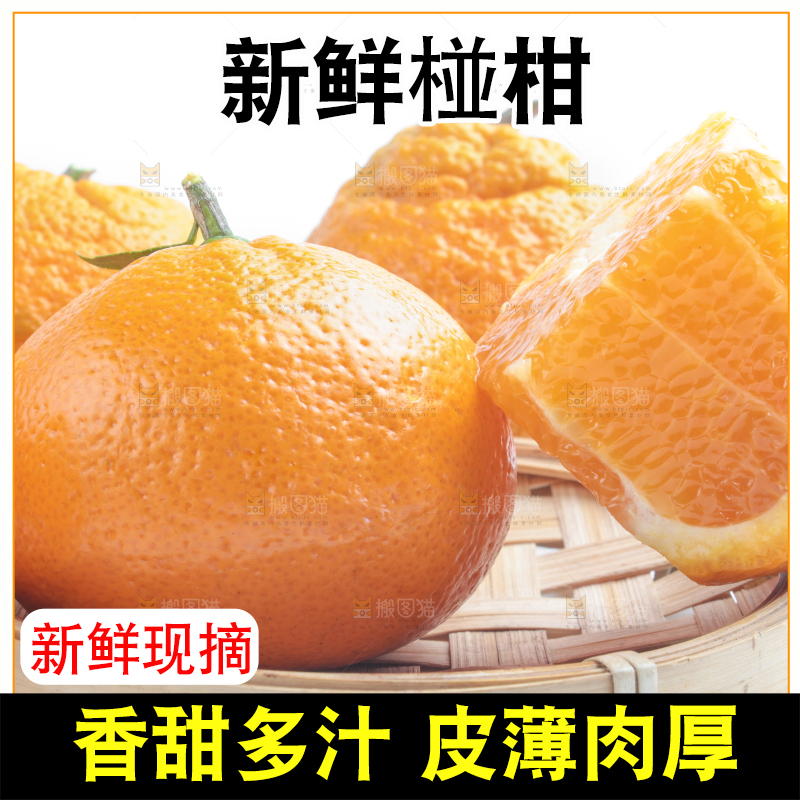 白底上放着四川椪柑
