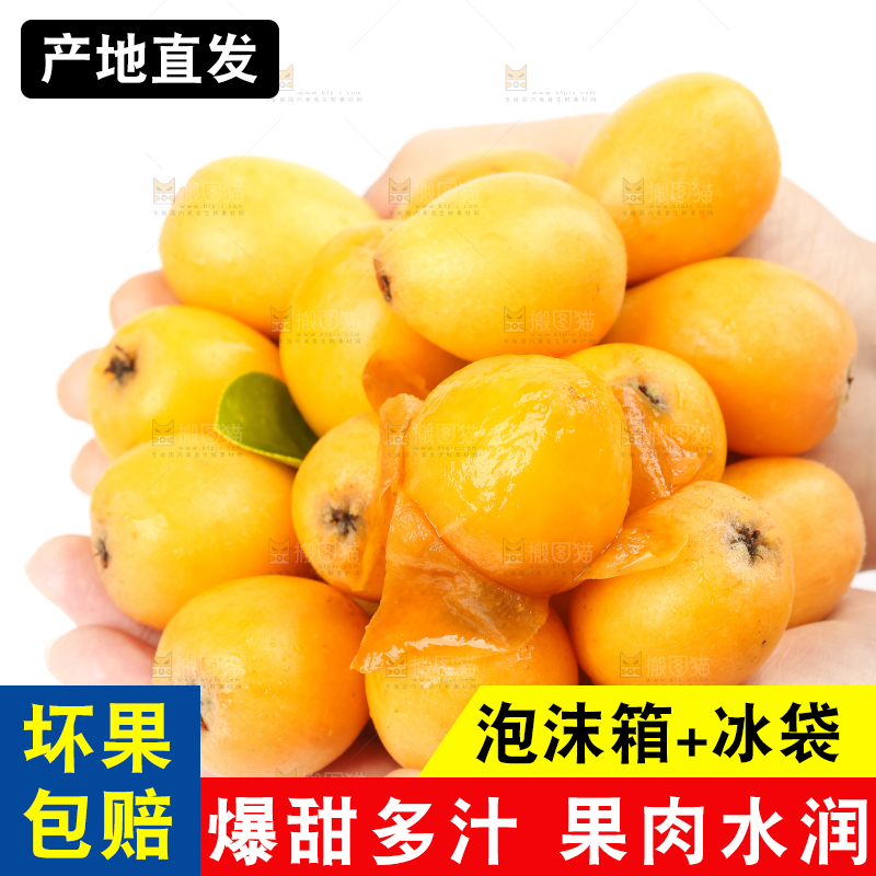 手里捧着云南蒙自枇杷