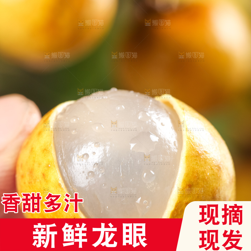 手里拿着新鲜龙眼