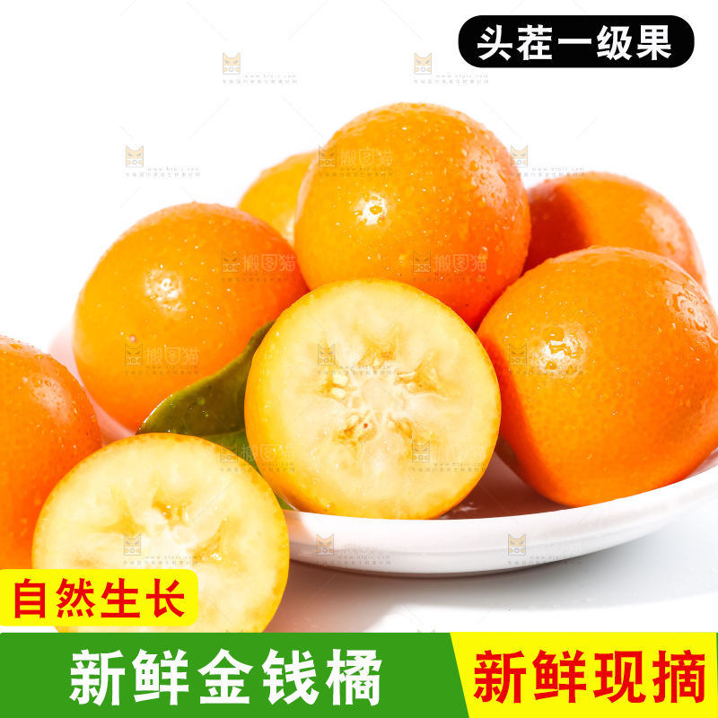 白底上的融安金桔