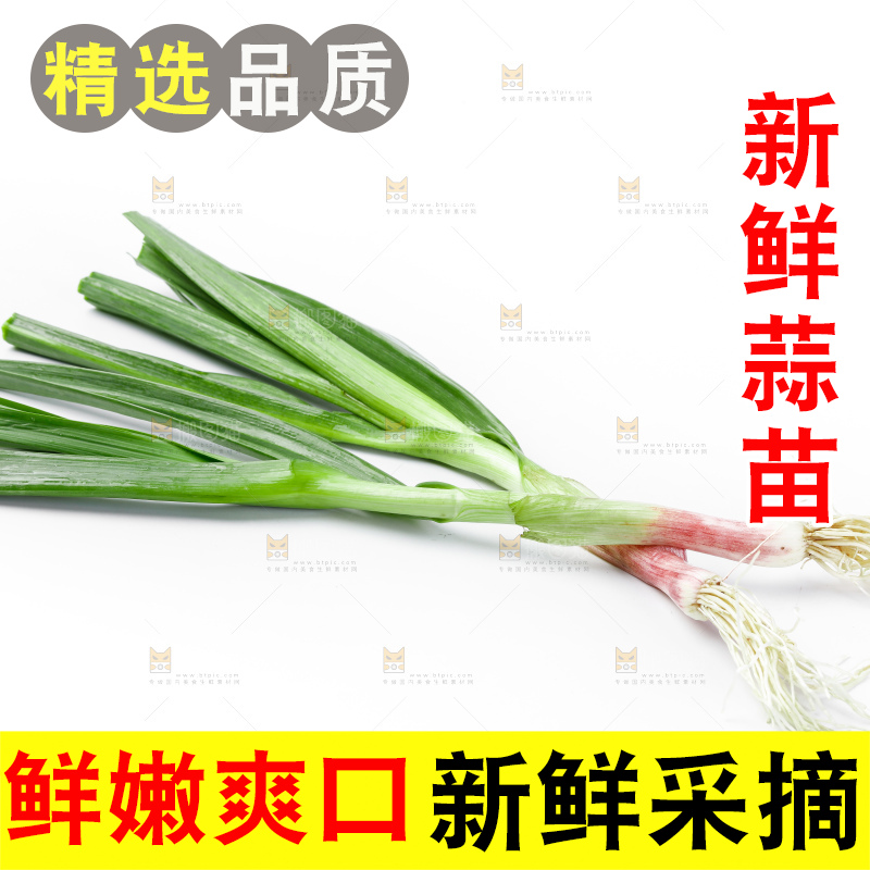 白底上的新鲜蒜苗