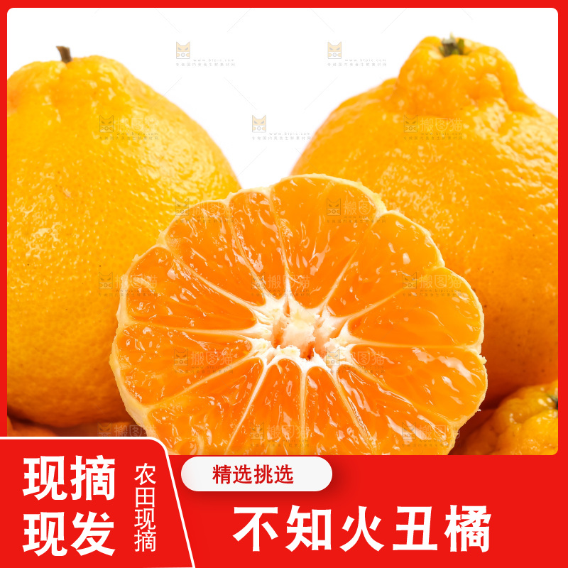 篮子里装着四川丑柑