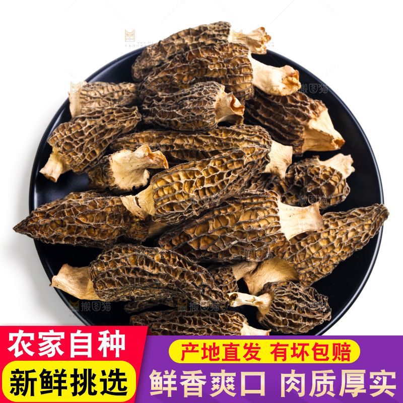 一盘干羊肚菌放在白底上