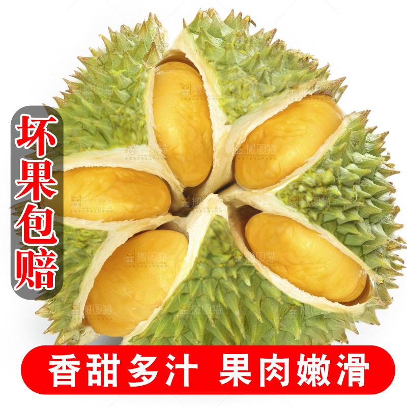 白底上放着泰国金枕榴莲
