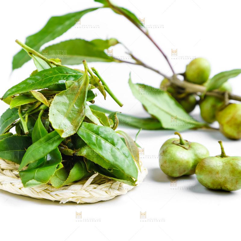 白底上放着绿茶叶