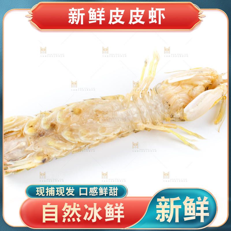 白底上的濑尿虾