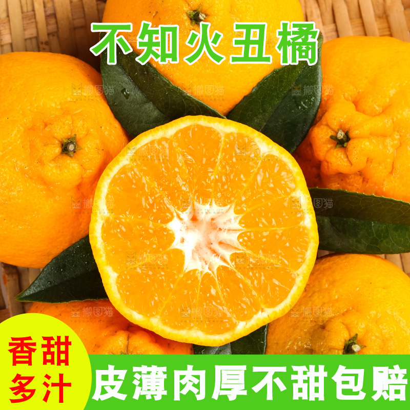 篮子里装着四川丑柑