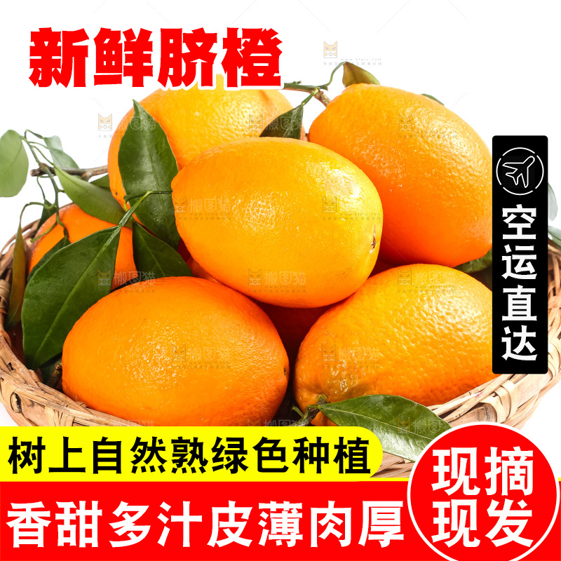篮子里装着奉节脐橙