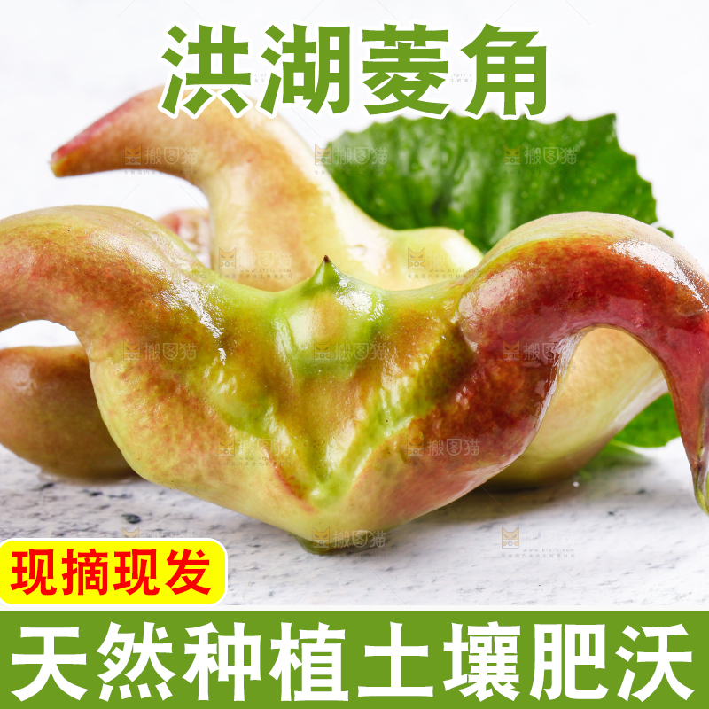 白底上的菱角
