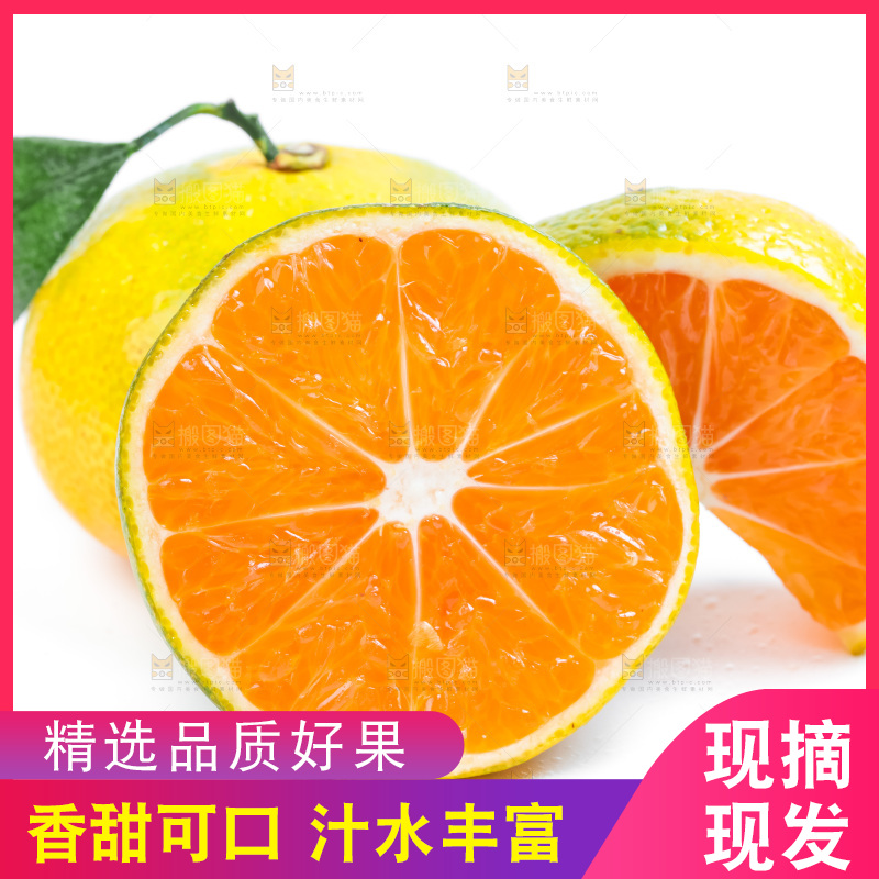 切开的新鲜橘子放在白底上