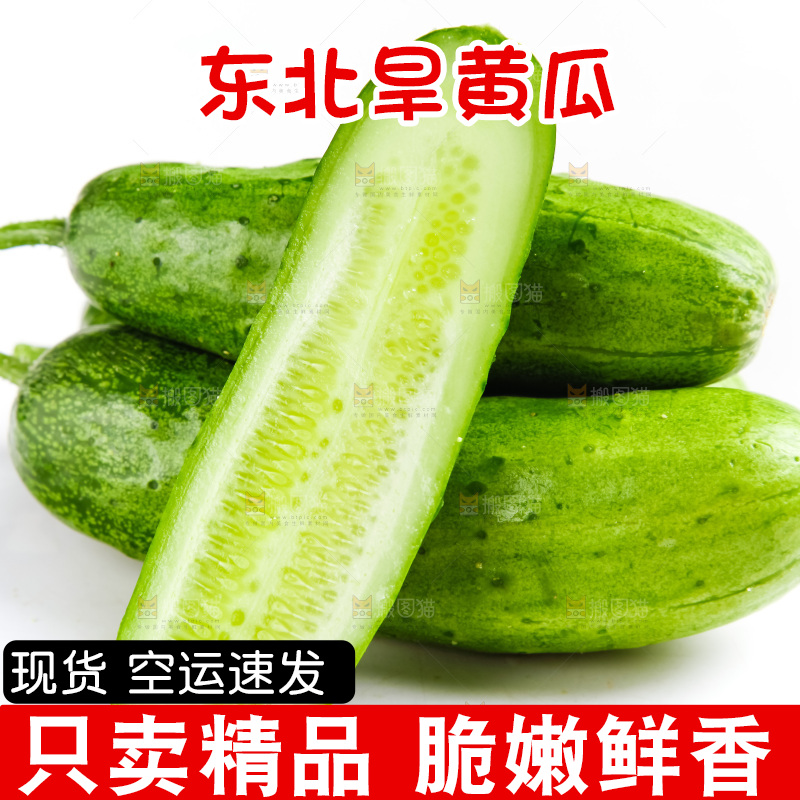 白底上的旱黄瓜